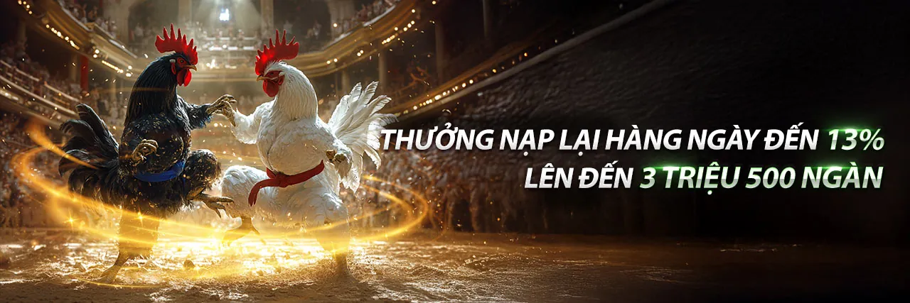 Sân đấu đá gà trực tuyến 7clubs bet