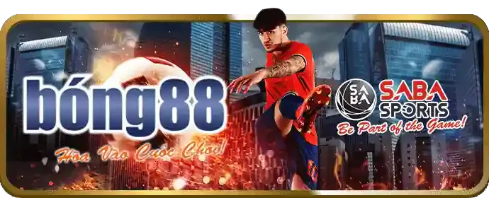 Đá gà Thomo 7clubs bet
