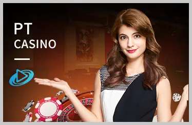 Nghiên cứu gà chiến 7clubs bet